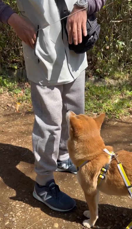 見上げるマメちゃん