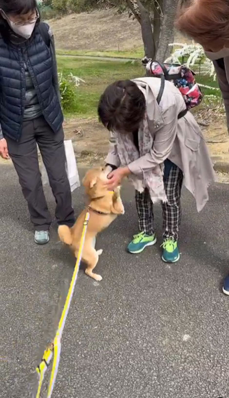 おばちゃまを捕獲