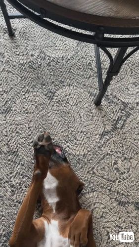 「This Is Emma's Chill Face || ViralHog」