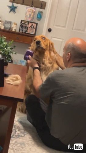 のけぞるワンコ