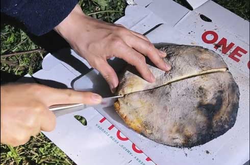 モロッコ帰り ピザ 作り方 砂漠化 熱した砂 埋める サハラ砂漠 遊牧民