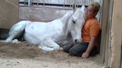 エーシンピーシー 10年一緒に過ごした 引退競走馬 添い寝 甘える 馬 芦毛 信頼 寝姿