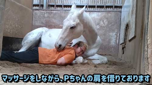 エーシンピーシー 10年一緒に過ごした 引退競走馬 添い寝 甘える 馬 芦毛 信頼 寝姿