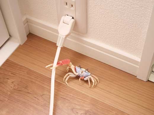 カニ コンセント ハサミ 脅し フィギュア オモ写