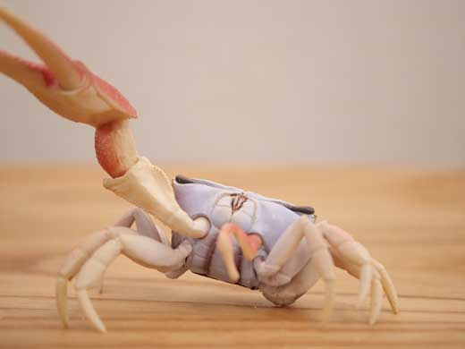 カニ コンセント ハサミ 脅し フィギュア オモ写