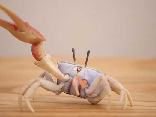 カニ コンセント ハサミ 脅し フィギュア オモ写
