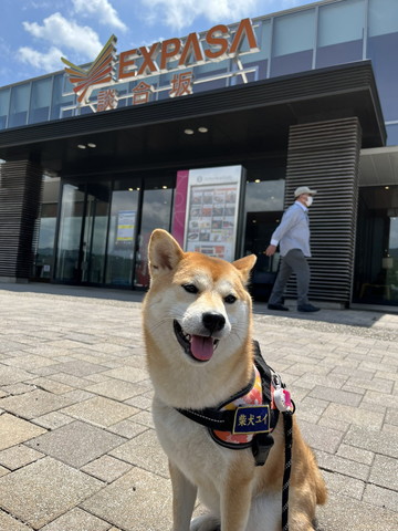 サービスエリアで笑顔ワンコ