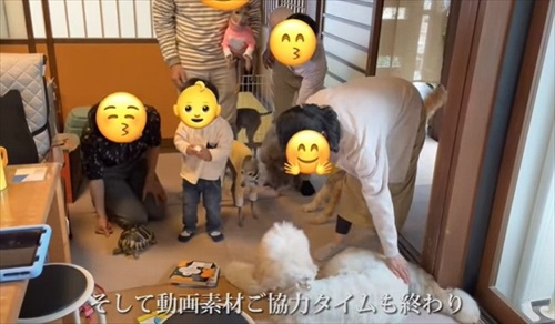 犬だらけの実家に帰ったら