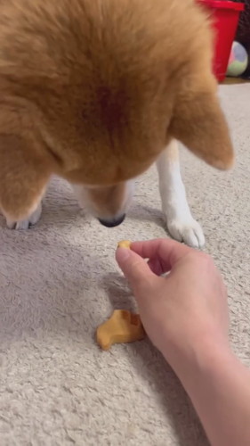 小さくしたクッキー