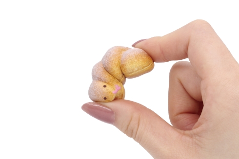 スクイーズ仕様