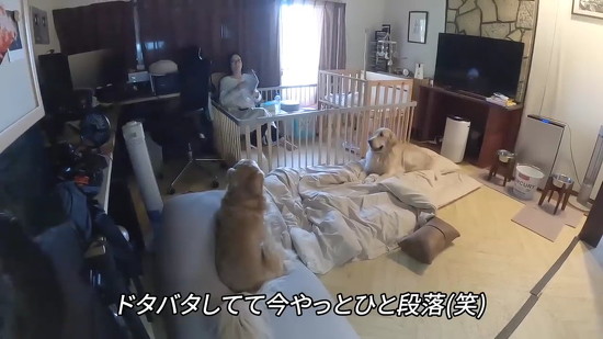 落ち着いた家族