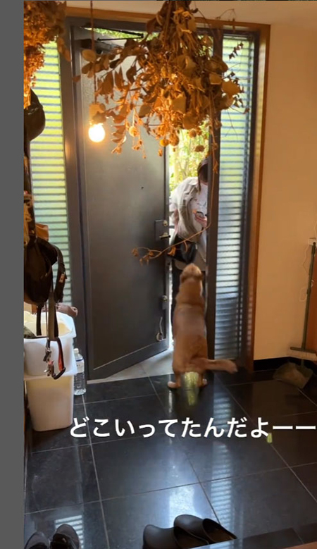 どこいってたんだよー