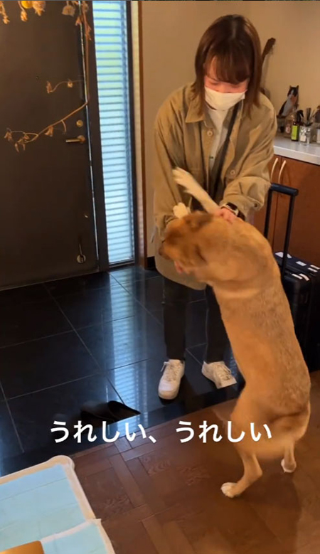 うれしいうれしい