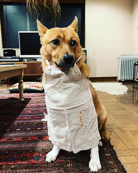 エプロン福ちゃん