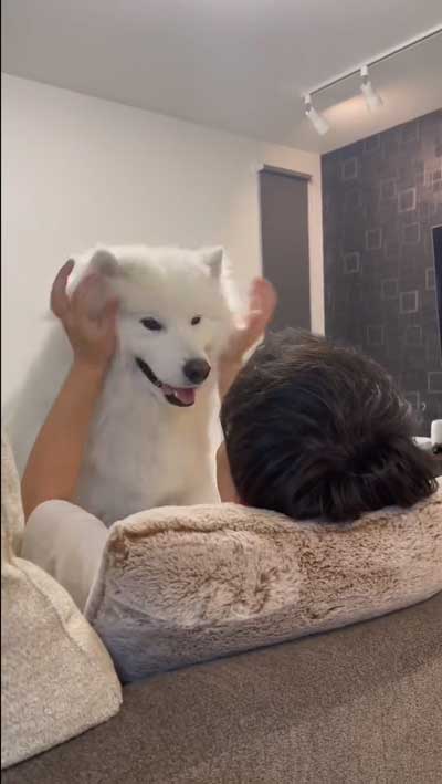 手を離すと元通り