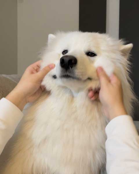 やわらかほっぺ