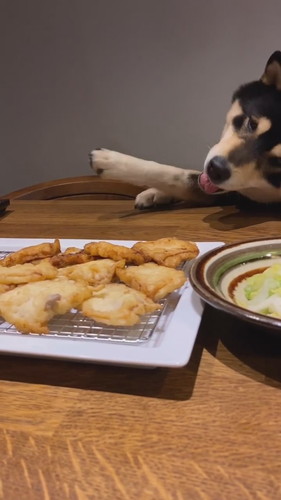 「必死に豚天に食らいつくテツ君」