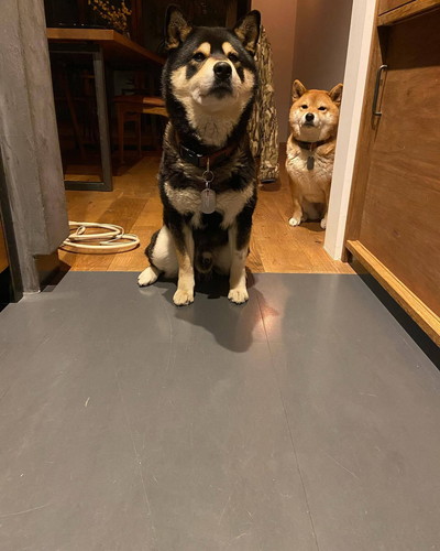 テツくんとそらちゃん