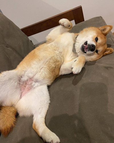 テツくんとそらちゃん