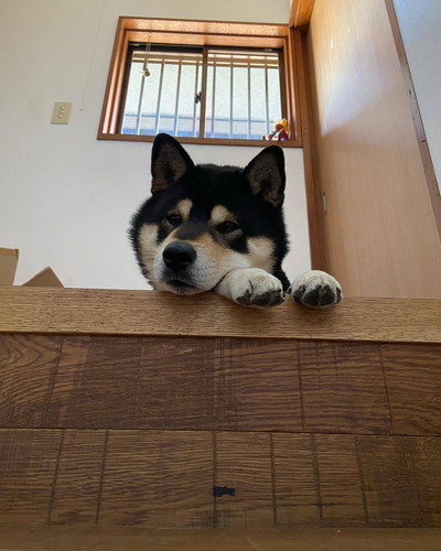 テツくんとそらちゃん