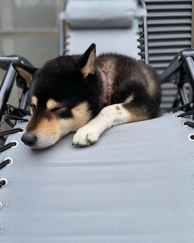 テツくんとそらちゃん