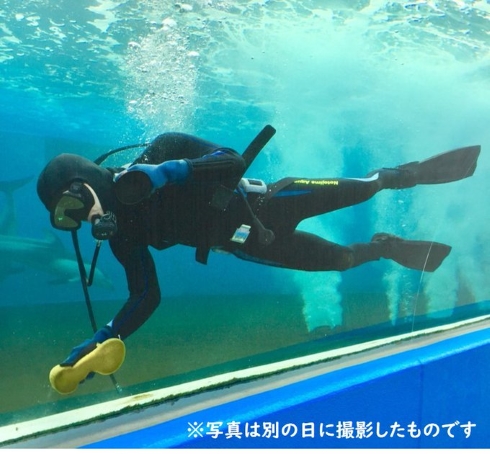 水槽清掃中に地震