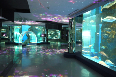 水槽清掃中に地震