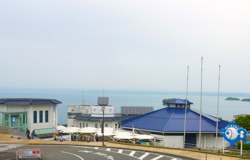 水槽清掃中に地震