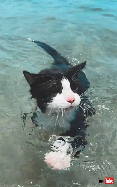 波がきてもへっちゃら