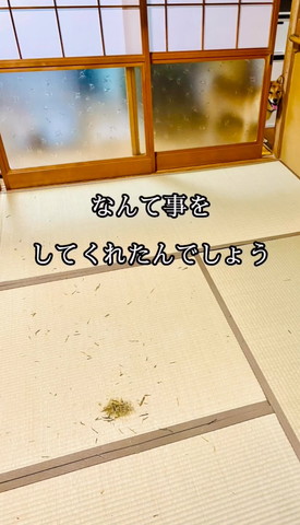 なんてことをしてくれたんでしょうテロップ