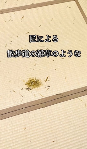 匠による散歩道の雑草のようなテロップ