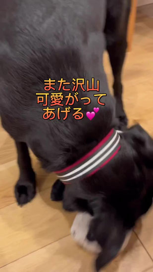 喜ぶハンナちゃん