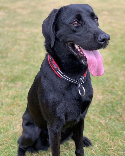 笑顔のハンナちゃん