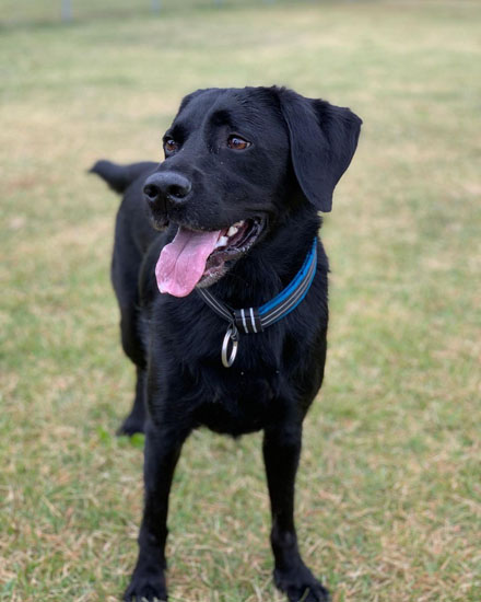 笑顔のレオンくん