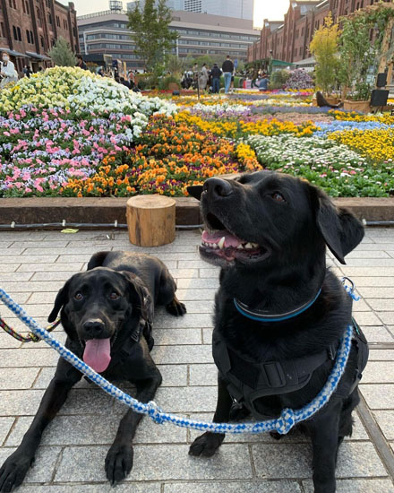 仲良しなハンナちゃんとレオンくん