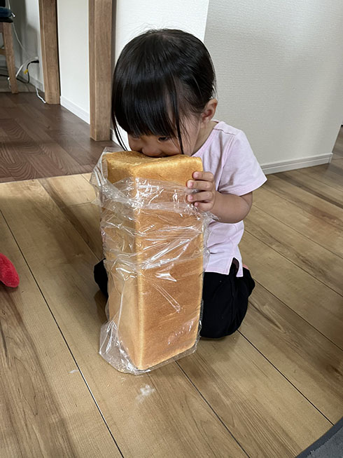 食パンを丸かじりする女の子