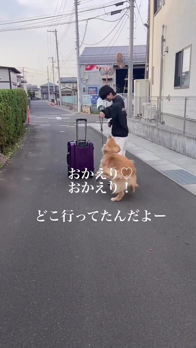 息子とゴールデンレトリバー