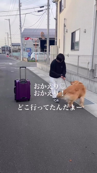 うれしそうなゴールデンレトリバーと息子