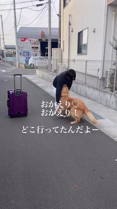 抱きつくゴールデンレトリバー