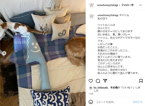 石田ゆり子のクッション“包丁くん”