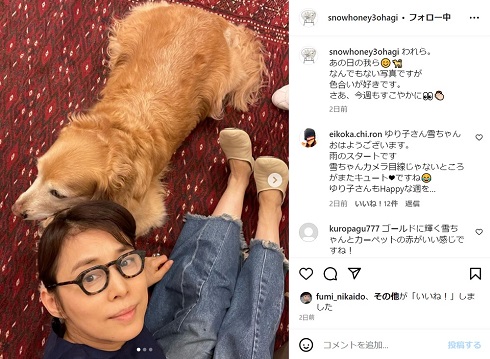 石田ゆり子と愛犬
