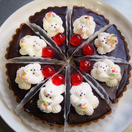 わんちゃんのチョコ生タルト