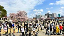 日本ラーメン協会 日本ご当地ラーメン総選挙 東京ラーメンショー 大つけ麺博 コラボ 企画