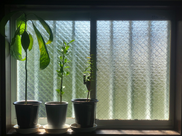 おすすめ