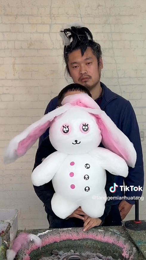 綿菓子 アート お菓子