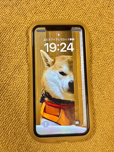 息子さんが待ち受けにしている柴犬