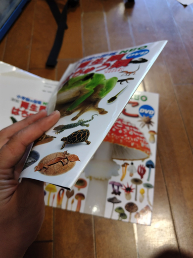 娘が失くしてしまったキノコ図鑑を捜索