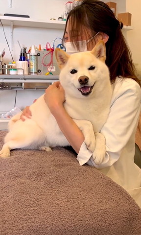 先生に寄りかかって笑顔ワンコ