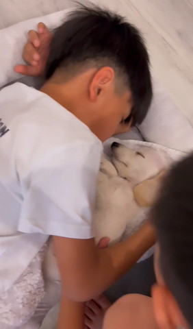 寝てるワンコとお兄ちゃんをのぞく息子