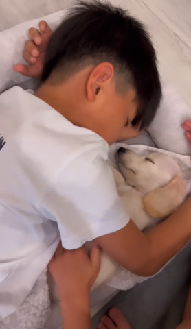 寝てるワンコを上に手を差し出す息子